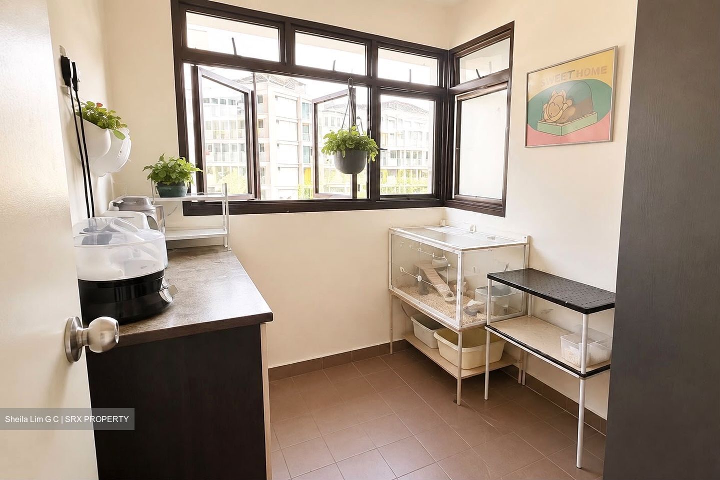Blk 51 EAST PAYOH PALM (Toa Payoh), HDB 3 Rooms #599119441